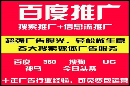 行业领先SEM托管代运营案例